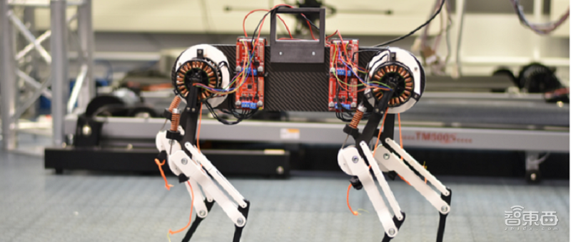 机器狗一小时就能学会走路？模仿动物本能，研究已登Nature子刊