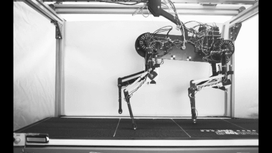 机器狗一小时就能学会走路？模仿动物本能，研究已登Nature子刊