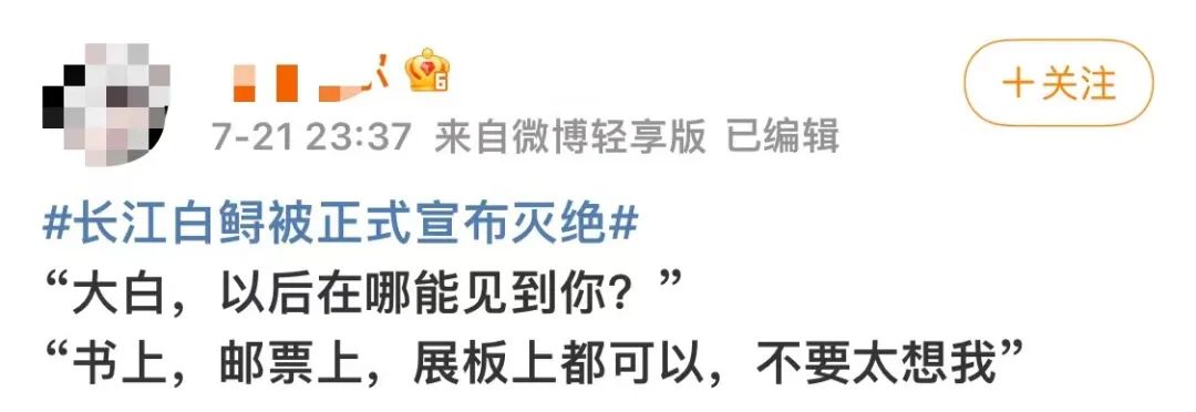 心碎！存在1.5億年的長江白鱘被正式宣布滅絕