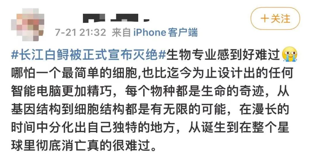 心碎！存在1.5億年的長江白鱘被正式宣布滅絕