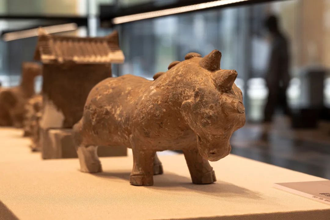 文明之美看东方｜走近大运河，走近活着的遗产走廊