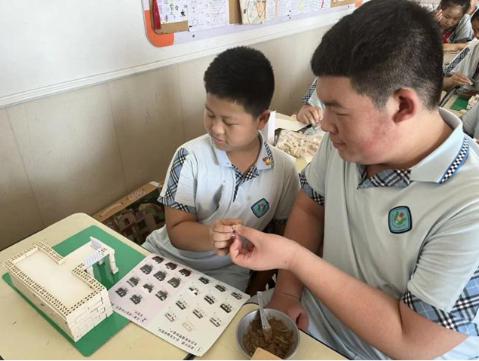 滨海新区塘沽馨桥园小学学校“菜园”变乐园(图3)