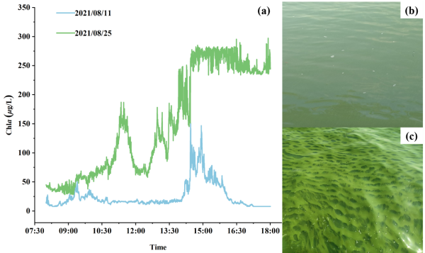 藻类水华监测研究取得进展