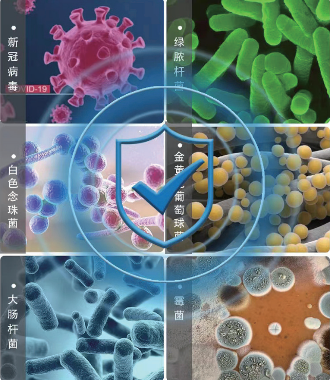 “物体免疫力”及其产业实践的意义｜启明星之声