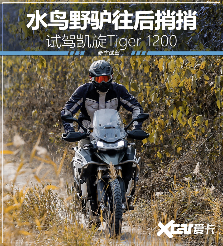 看了电控配置全拉满的凯旋Tiger 1200 水鸟野驴都不香了
