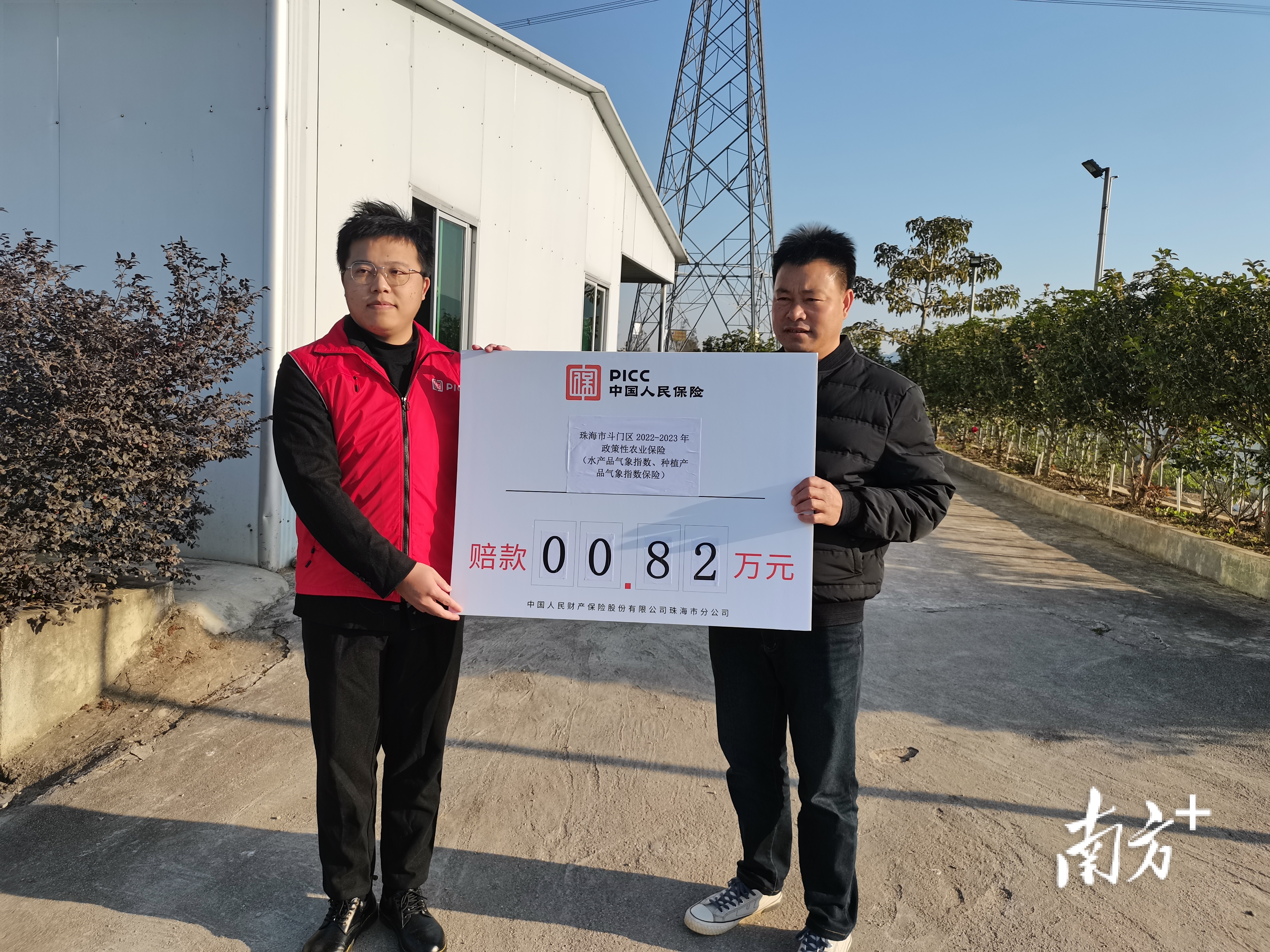 斗门800亩农作物因低温受损，气象指数保险启动快速赔付