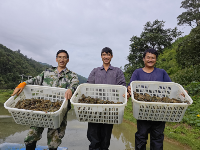 开屏策划｜云南，你让我感到陌生！