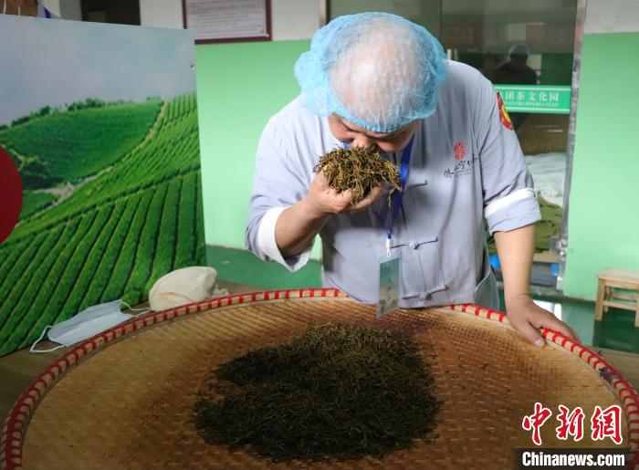 江西修水：制茶匠人齐聚 斗茶技赛茶香