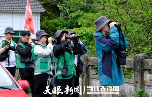 世界地球日，麻阳河保护区共绘黑叶猴生态保护绿卷