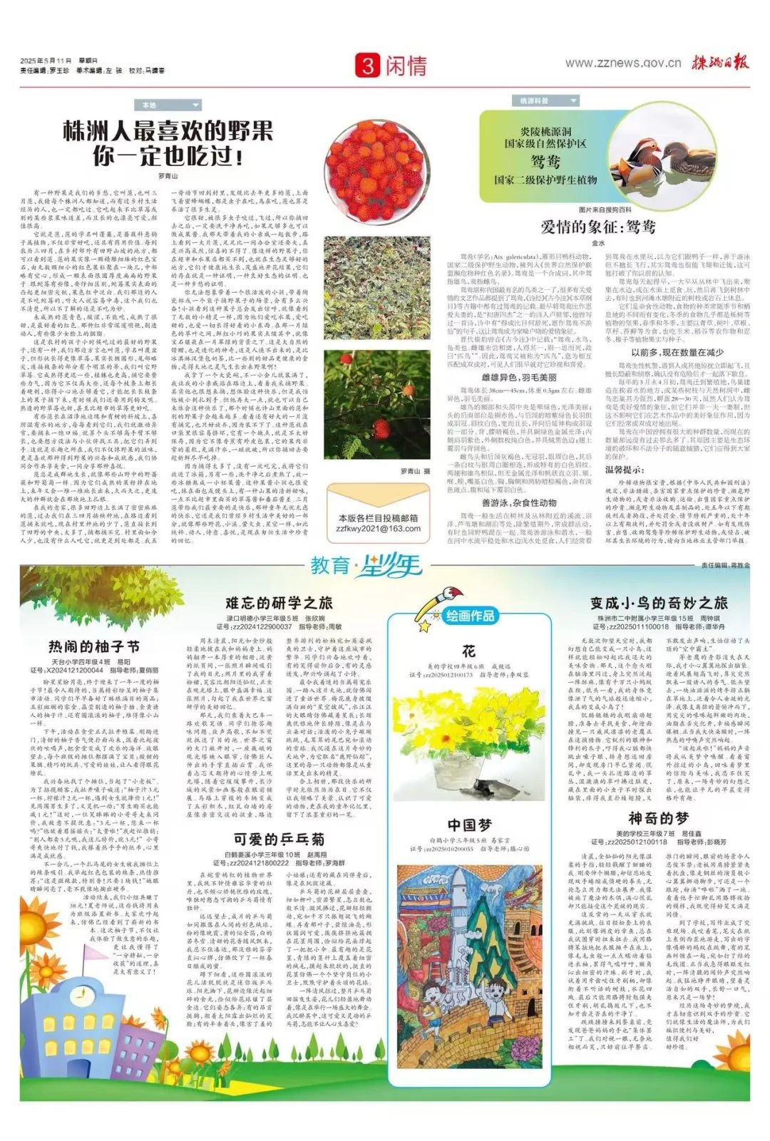 株洲人最喜欢的野果 你一定也吃过！