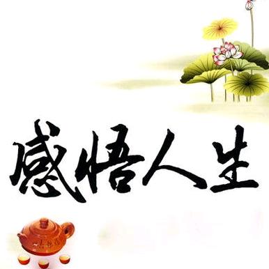 老高侃百态
