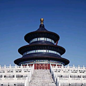 wangzhaohan666