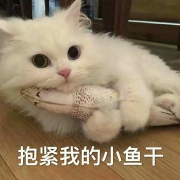 七末00