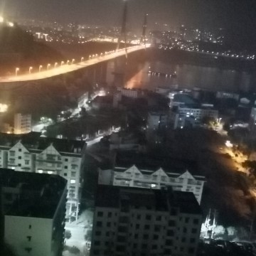 渝农老杨