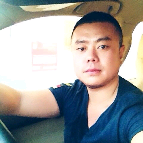 机智的春风D