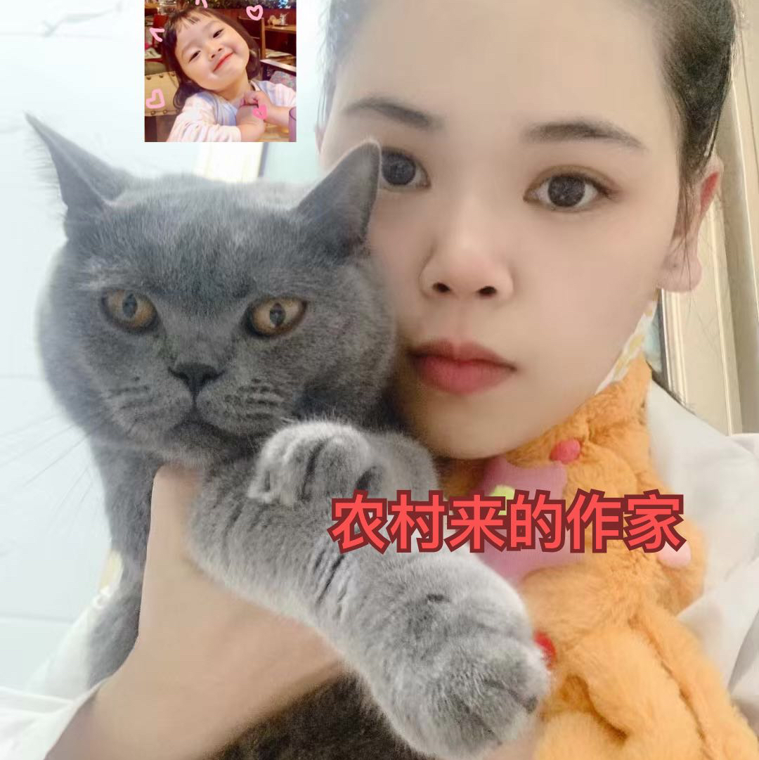 农村来的作家