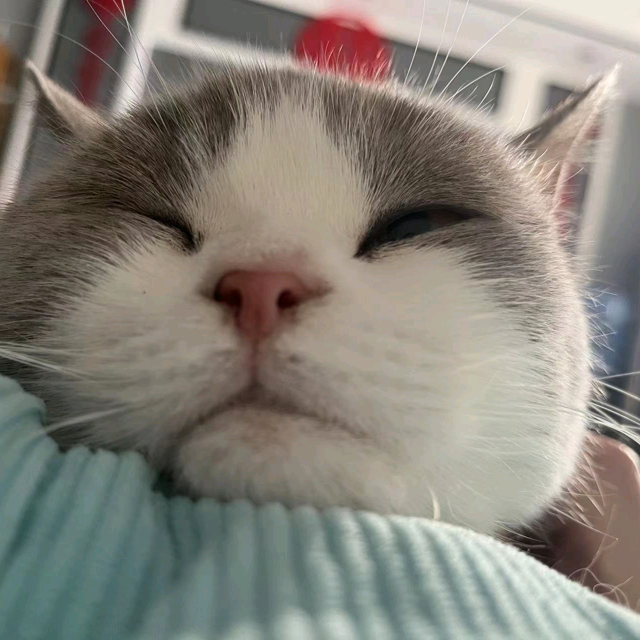 博学多才我是疯子