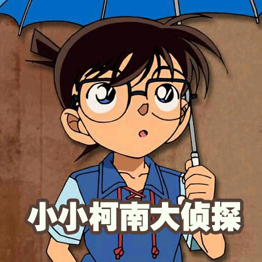 小小柯南大侦探