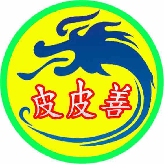皮皮善游戏解说
