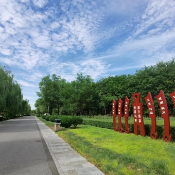 光头无罪
