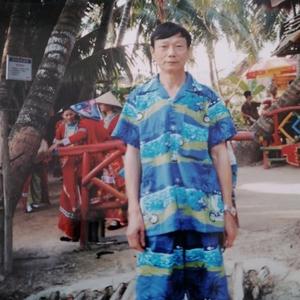 子木心源