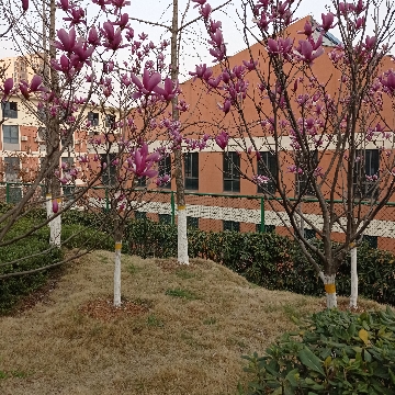 周集小邵湾