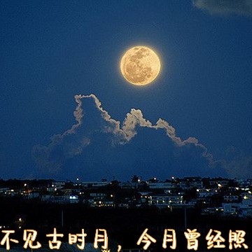 楚雁归来