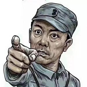 种花家李云龙