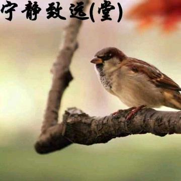 平凡堂哥