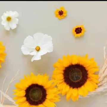 爱看海浪
