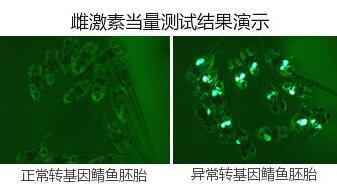 宠物店的狗粮好吗安全吗能吃吗（如何选择适合宠物的健康狗粮）