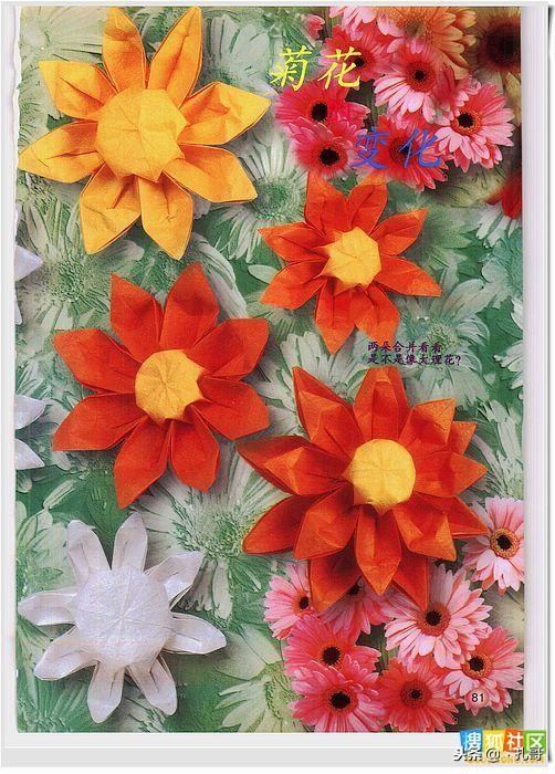 一,各种叶子折法二十,绣球花十九,金鱼草十八,豌豆花十七,三色堇十六