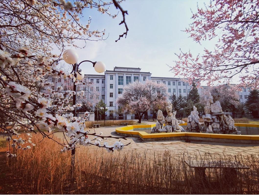 辽宁石油化工大学图书馆(辽宁石油化工大学文化景观)