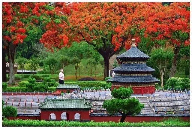 口袋妖怪叶绿岩山隧道路线图(口袋妖怪叶绿碎岩术在哪得到)