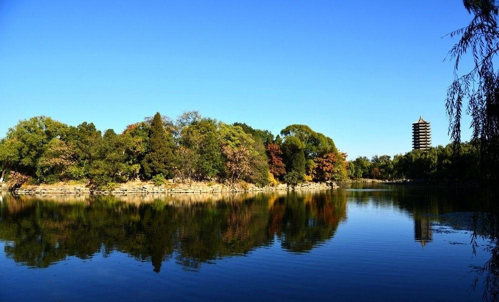上栗中学(热烈祝贺江西省上栗中学张开信同学裸分荣录北京大学)