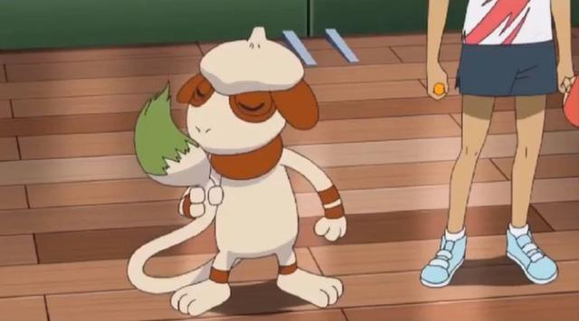 pokemmo双打写生npc(pokemmo双打npc位置)