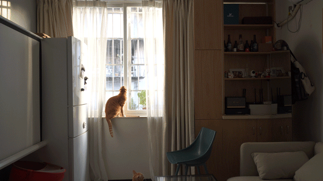 上角家电安装维修公司 50平老房改造智能家居，Aqara&HomeKit的生活体验