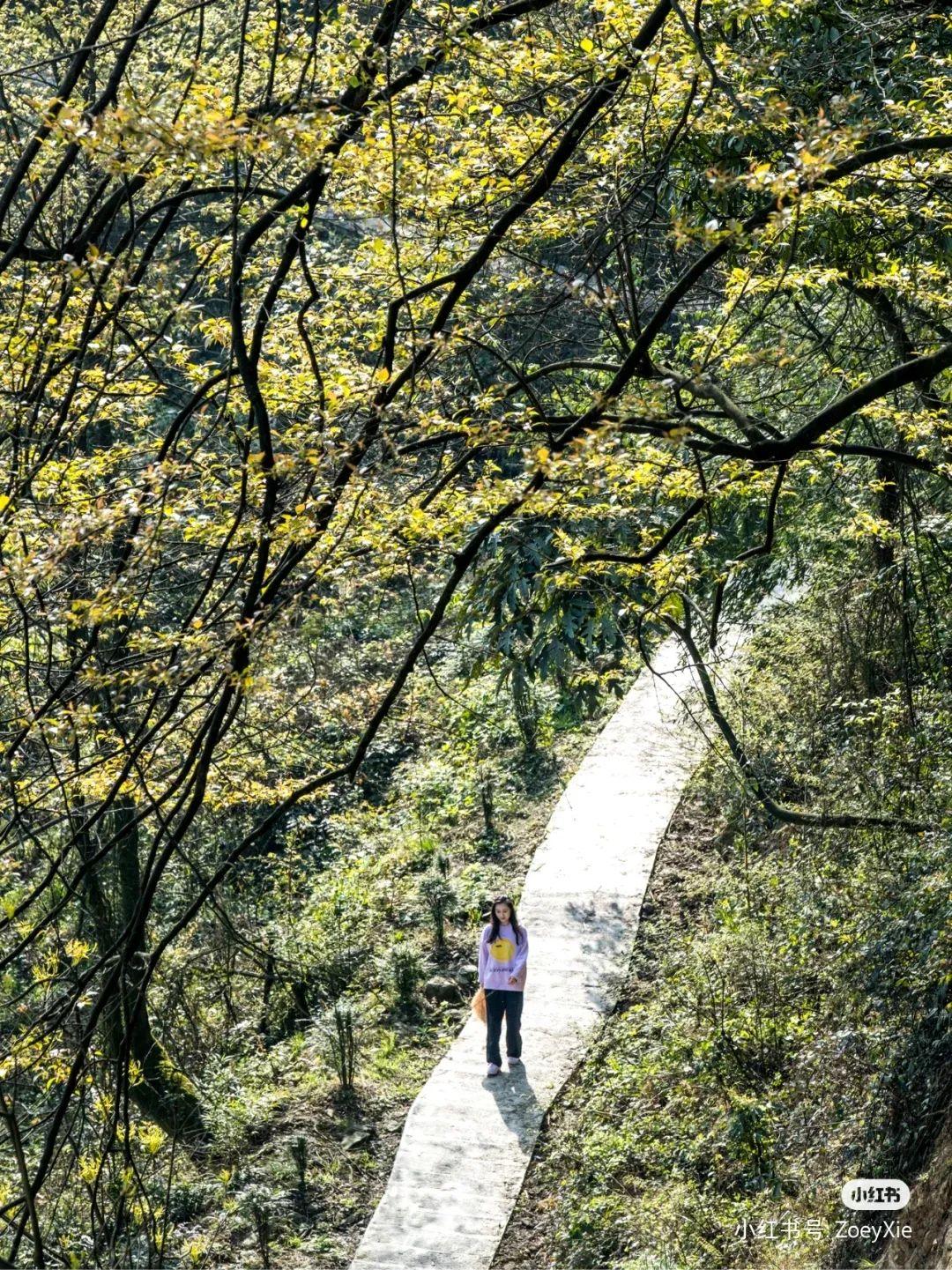 汶川景區有哪些景點,帶你探秘汶川趙公山后絕世秘境 汶川景區有哪些景點,帶你探秘汶川趙公山后絕世秘境