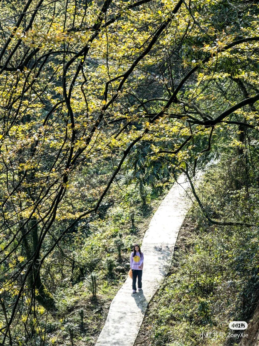 汶川景区有哪些景点，带你探秘汶川赵公山后绝世秘境