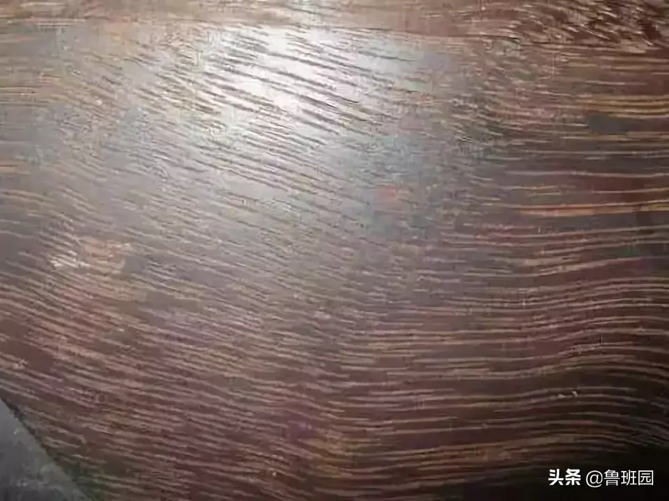 铁力木的功效与作用（铁力木有收藏价值吗）