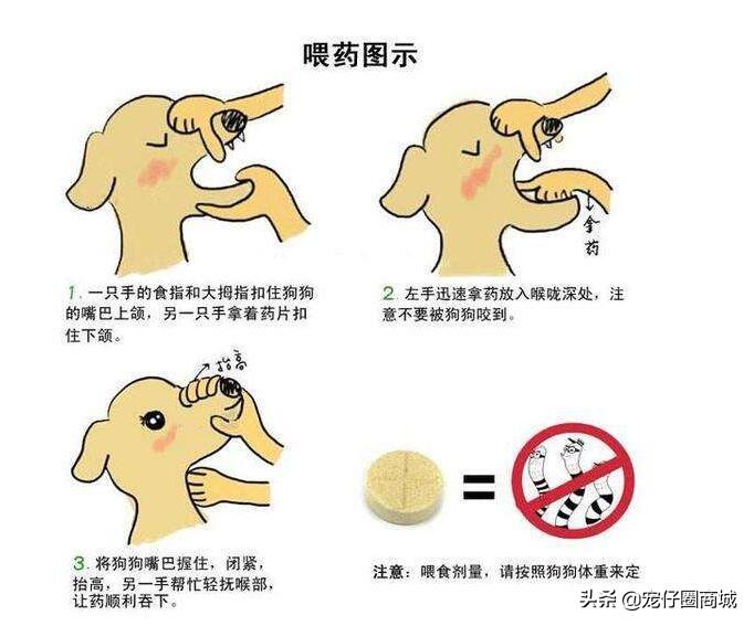 犬心保和拜宠清的区别 选择哪个更安全有效？（犬心保和拜宠清的功效与副作用对比）