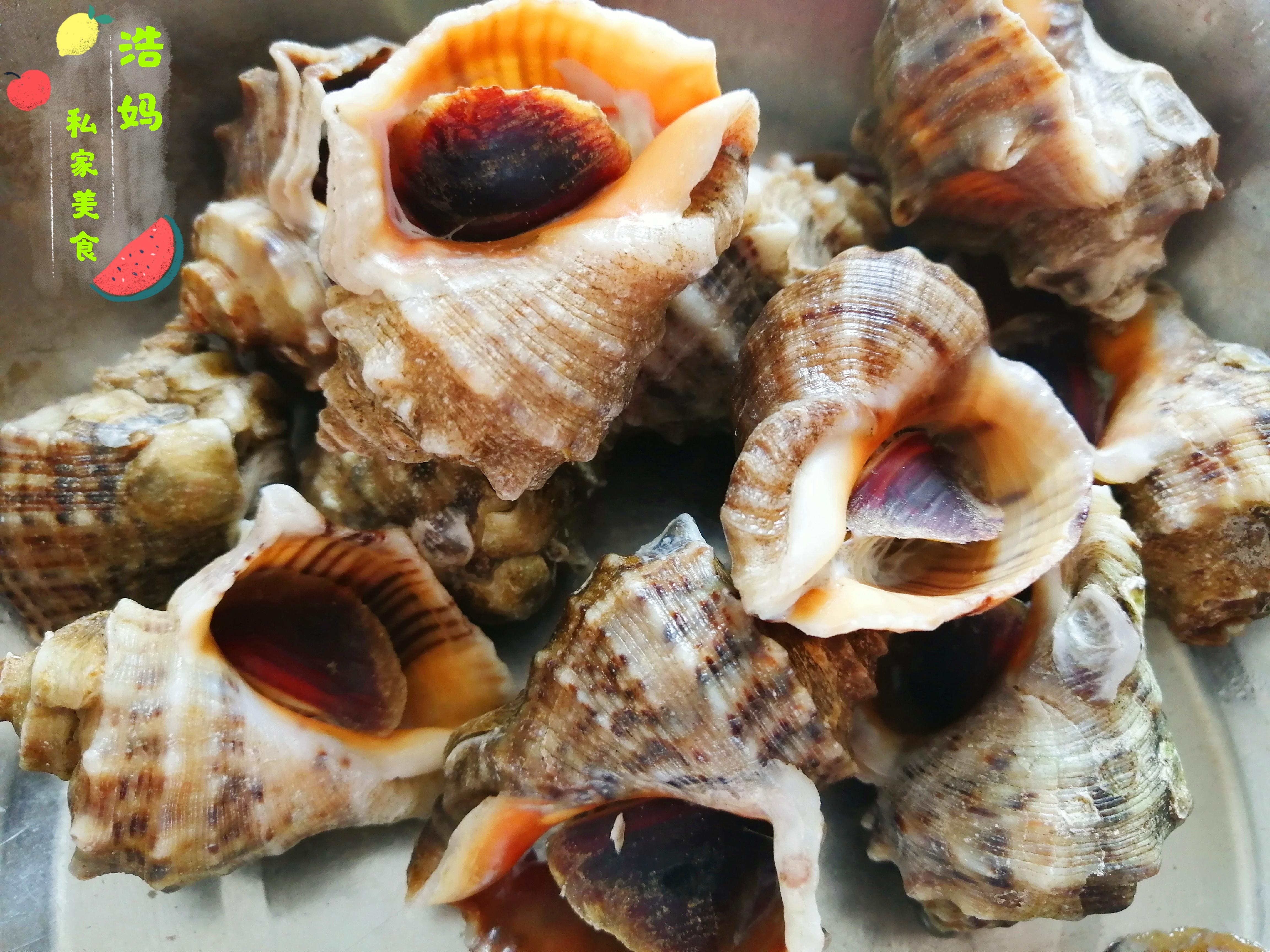 海螺开锅煮多长时间(蒸海螺要蒸多久)