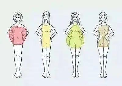 胸大背宽显瘦，胸大腰粗上身丰满