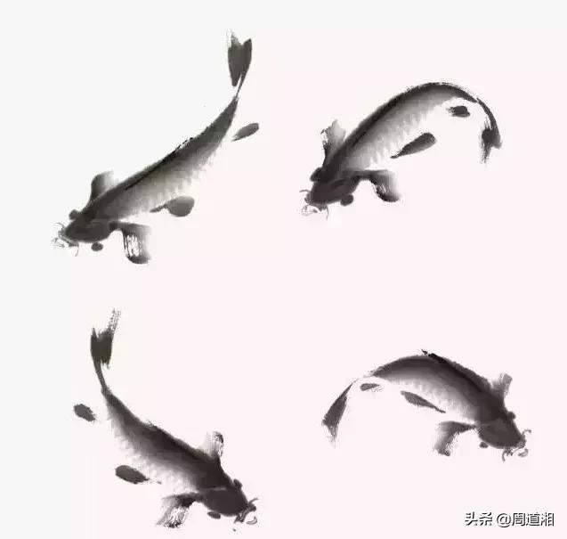 金鱼画法步骤图解,国画写意鲤鱼、金鱼的画法 金鱼画法步骤图解,国画写意鲤鱼、金鱼的画法