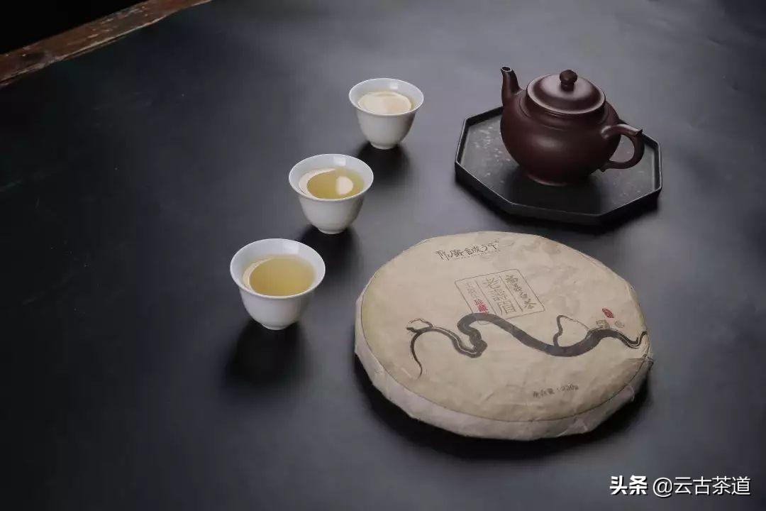 白茶有几个品种（细说白茶的五大种类）