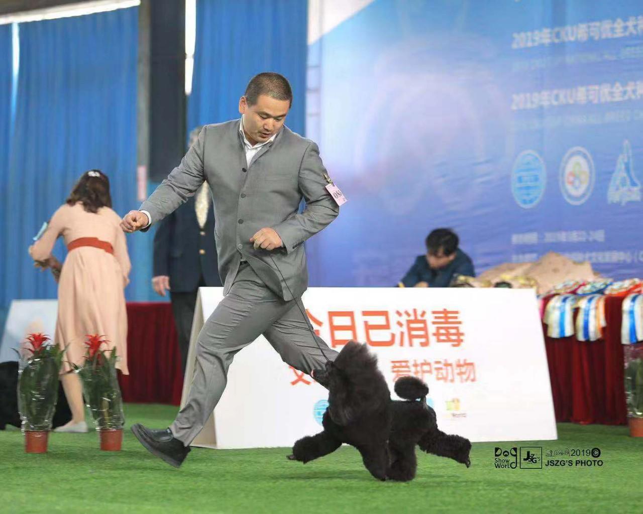 成都市宠物美容专业学校（宠物美容学校排名）