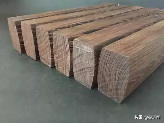 铁力木的功效与作用（铁力木有收藏价值吗）