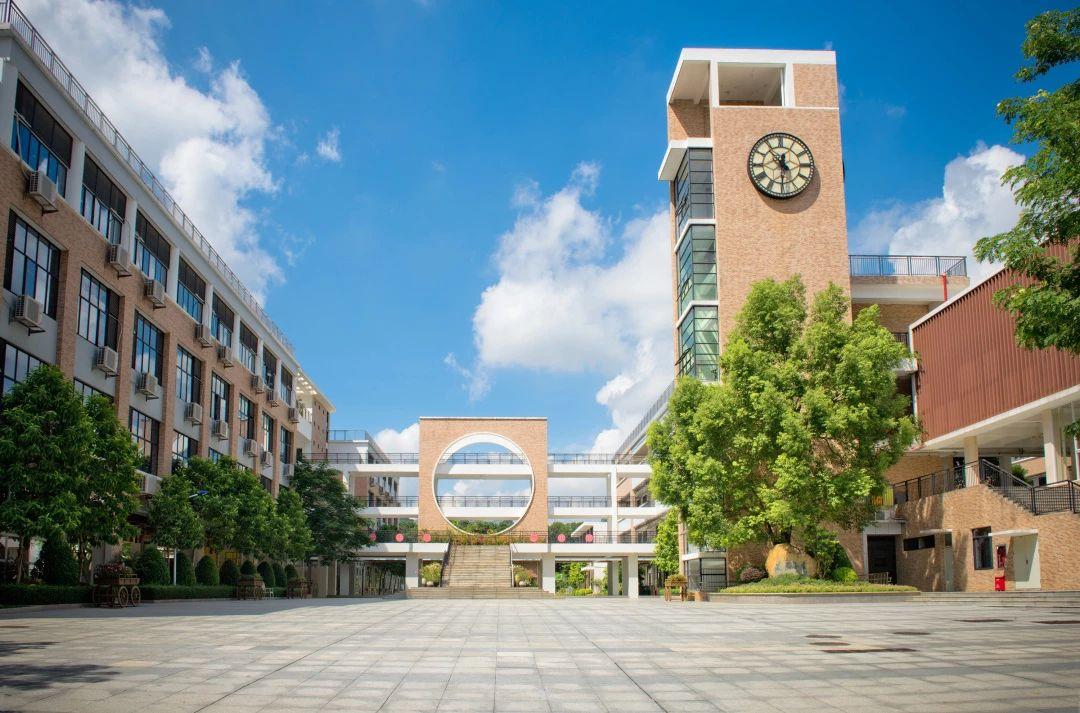 深圳龙岗学校(深圳龙岗区最强小学大盘点)