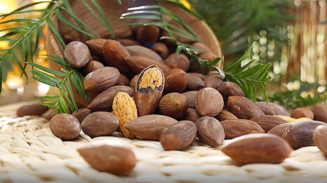 香榧是什么(香榧坚果多少钱一斤)