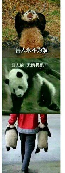 勇者斗恶龙11空幻斗士在哪里(勇者斗恶龙11s小窍门)